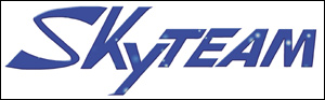Skyteam Logo